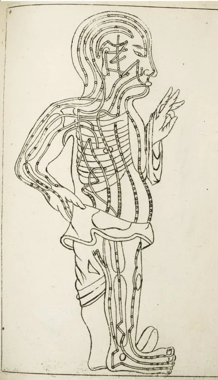 Illustration of human anatomy with acupuncture points indicated.