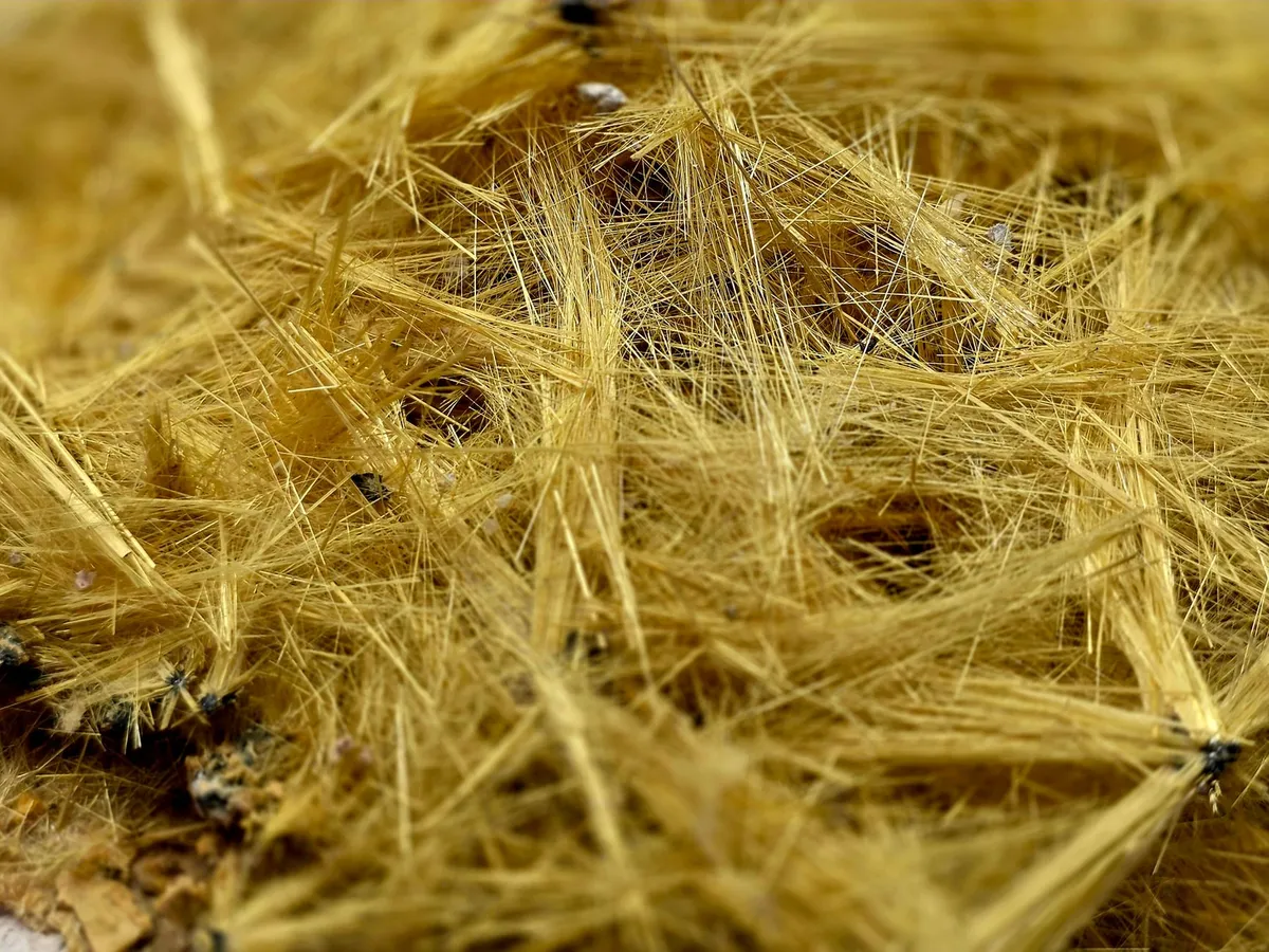 Close-up of yellow asbestos fibers on a surface.