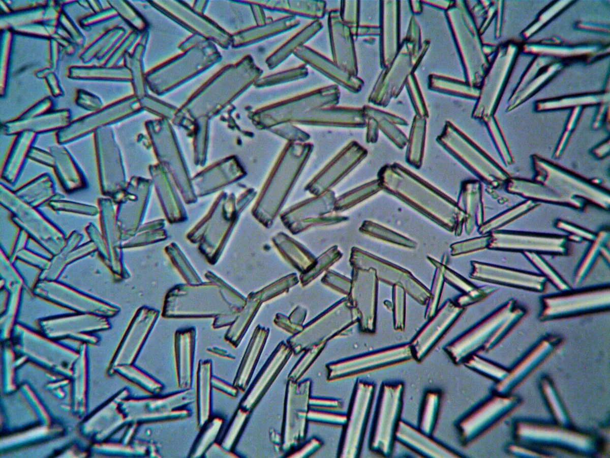 Close-up of asbestos fibers under a microscope showing their distinct crystalline structure.