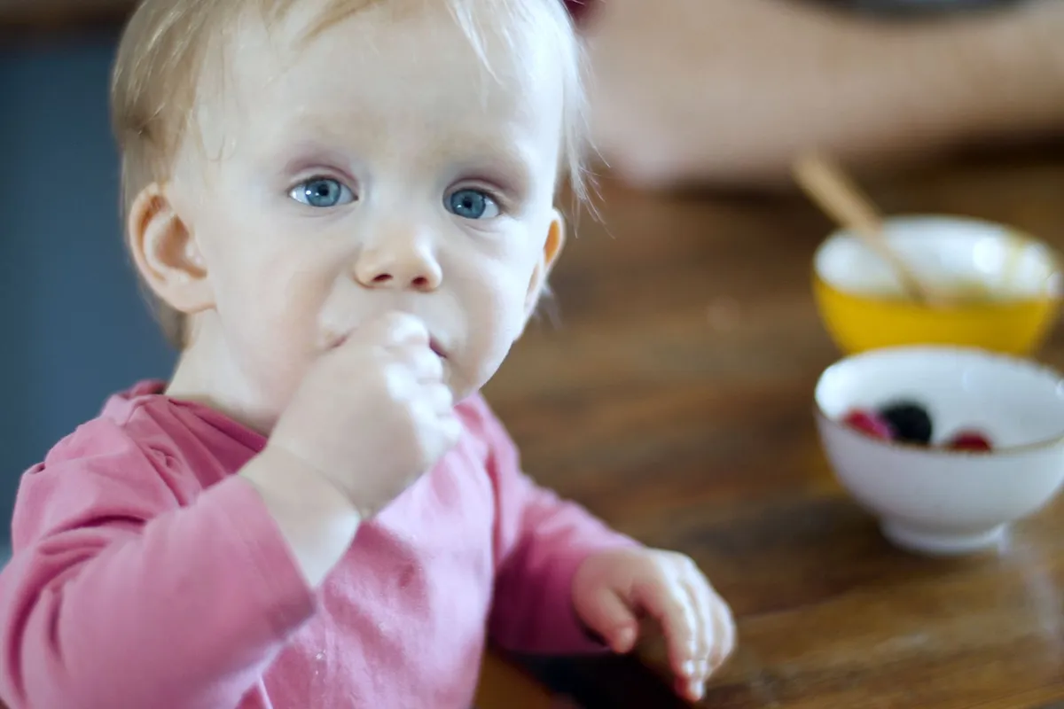 Toddler eating berries with hands at a table, exploring food textures.