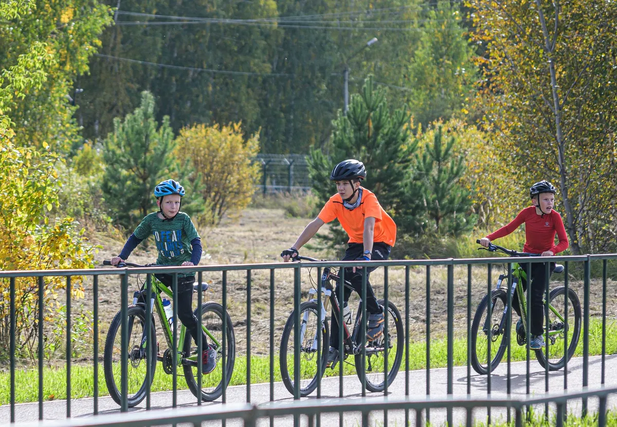 Three children riding bicycles on a path surrounded by trees and greenery.