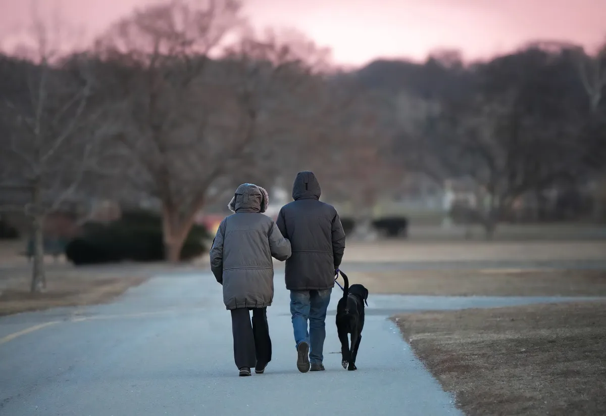 Two people walking a dog in a park during twilight.