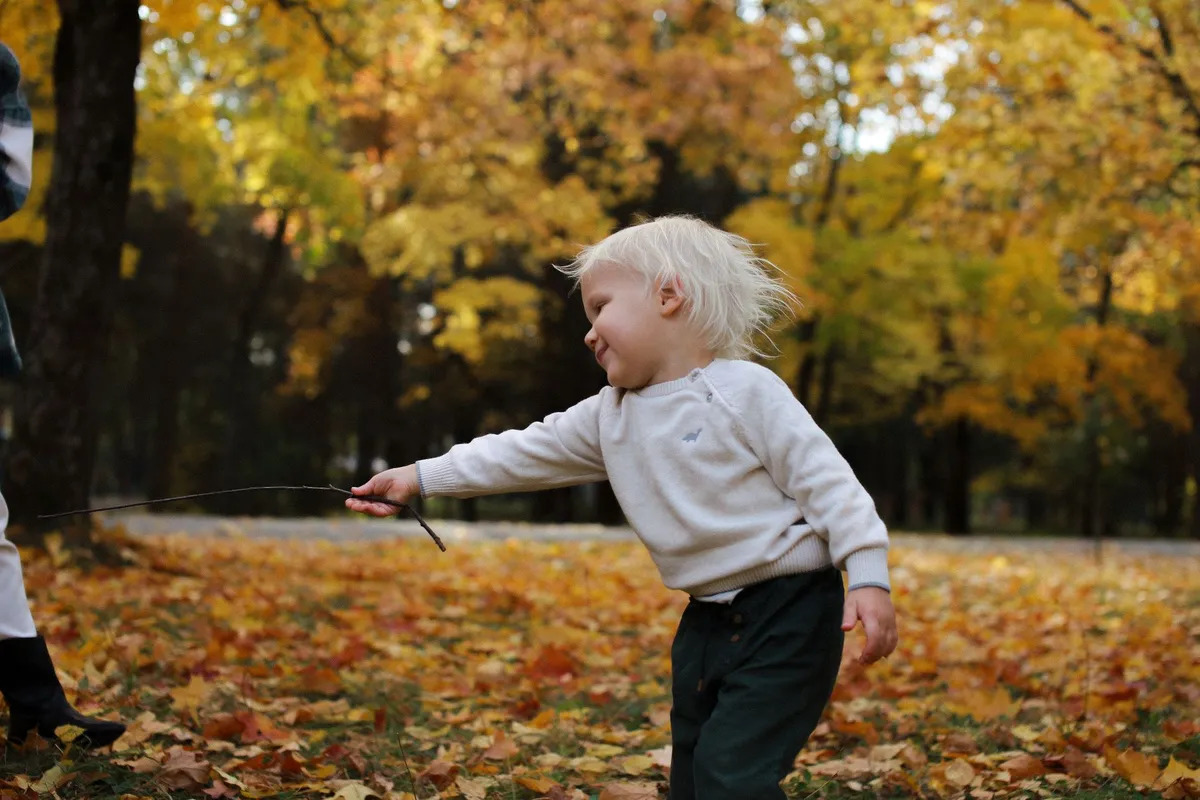 Toddler playing with a stick among autumn leaves in a park