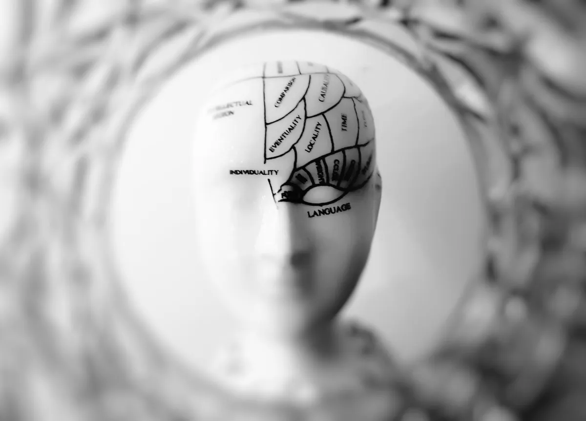 Model of a head with labeled areas related to language and speech functions.