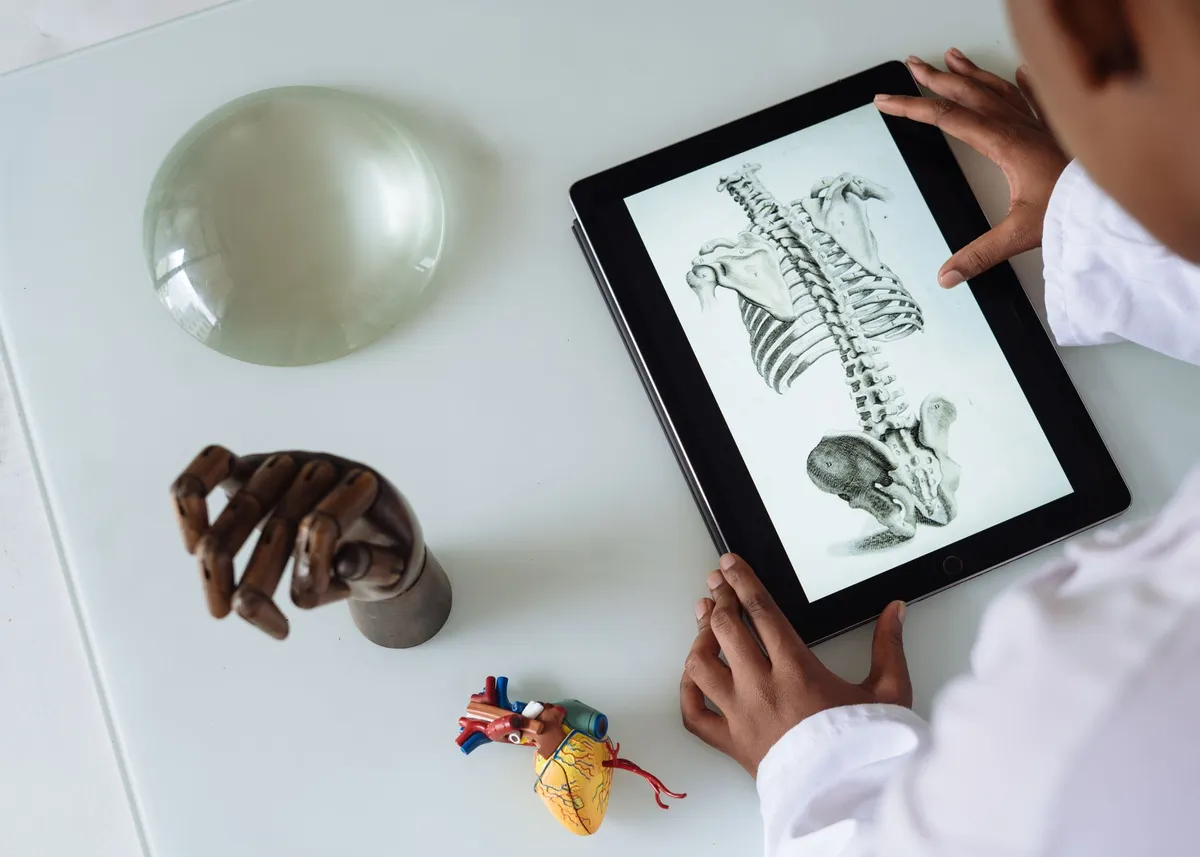 Person examining a spine anatomy diagram on a tablet.