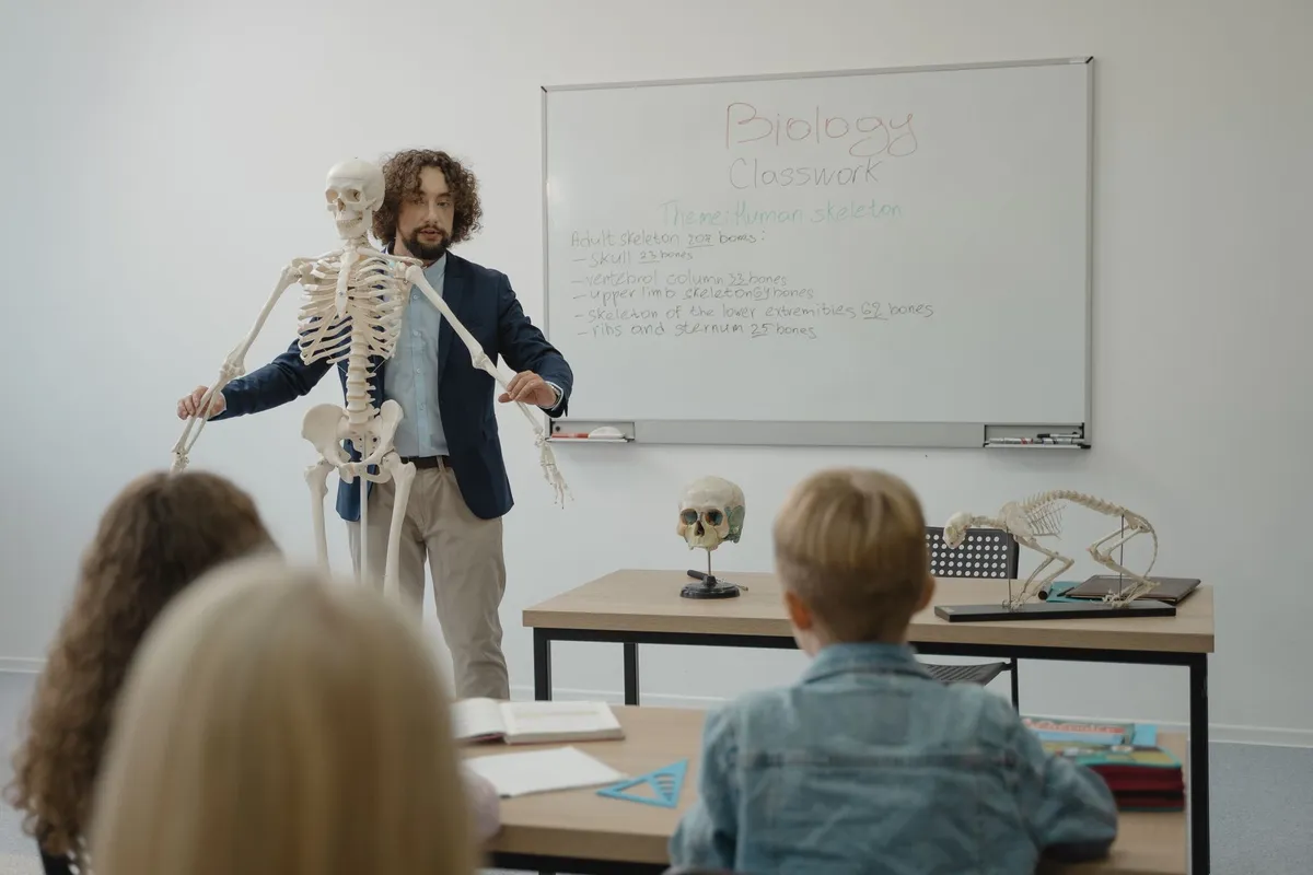 Teacher presenting a skeleton model in a biology classroom setting.