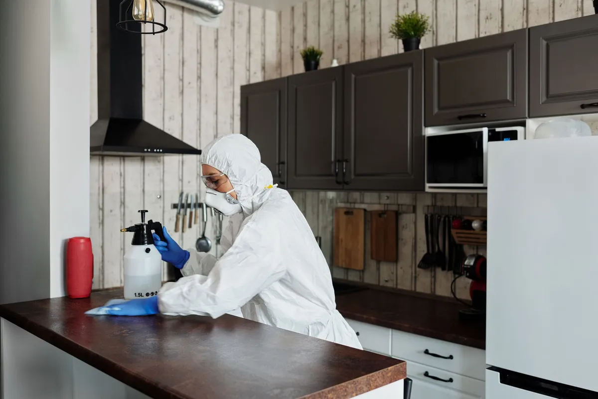 Person in protective gear cleaning a kitchen countertop to prevent pests.