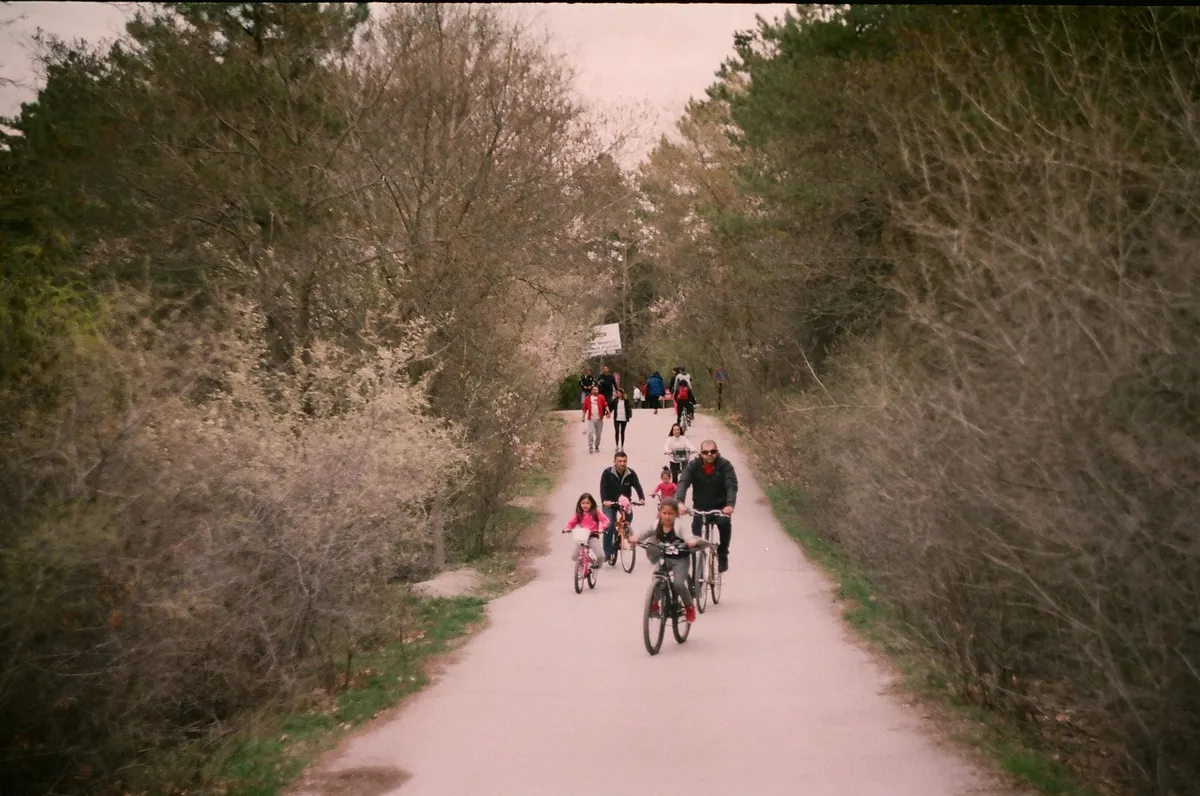 A group of families riding bicycles on a trail surrounded by trees.